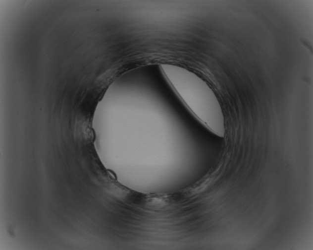 X0000096660285200802051003