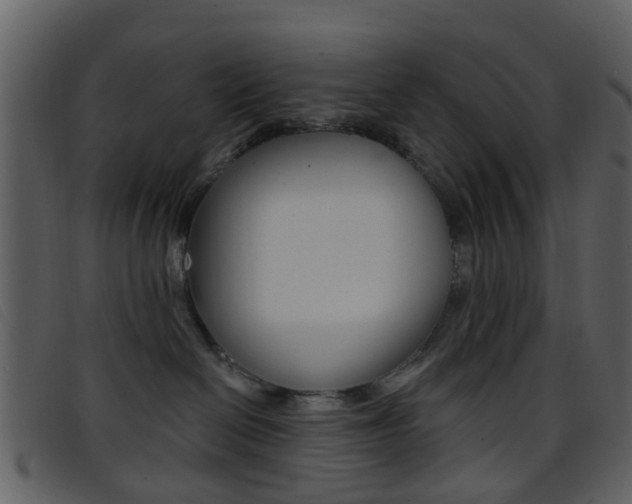X0000096660286200802051003
