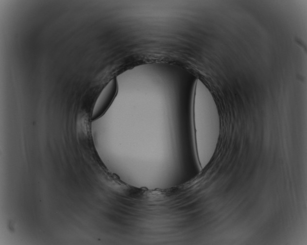 X0000096660287200802051003