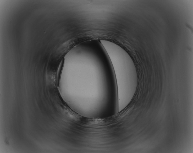 X0000096660288200802051003