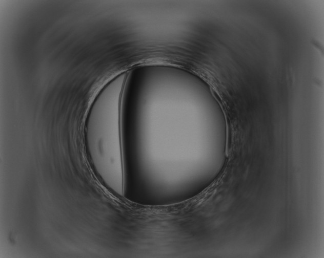 X0000096660289200802051003