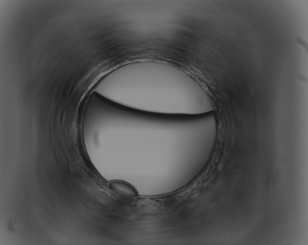 X0000096660290200802051003