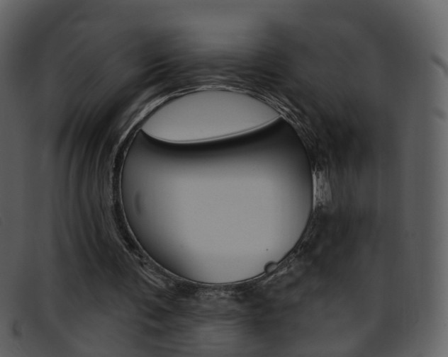 X0000096660291200802051003
