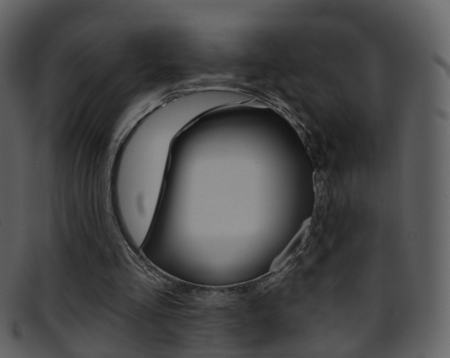 X0000096660293200802051003