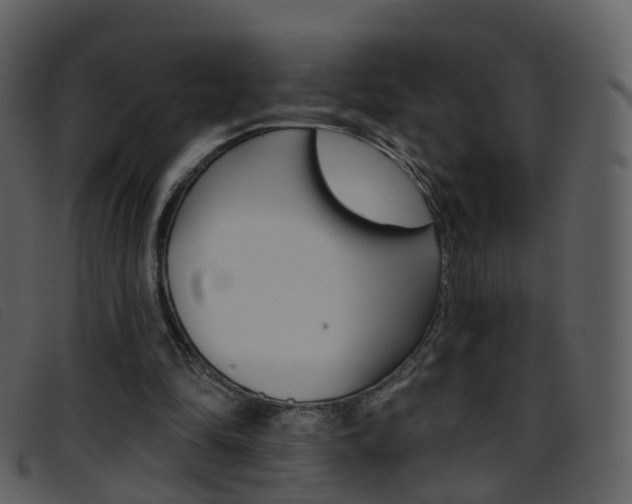 X0000096660294200802051003