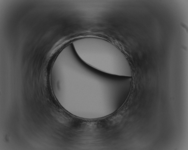 X0000096660295200802051003