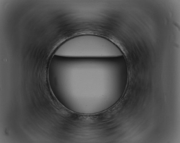 X0000096660297200802051003
