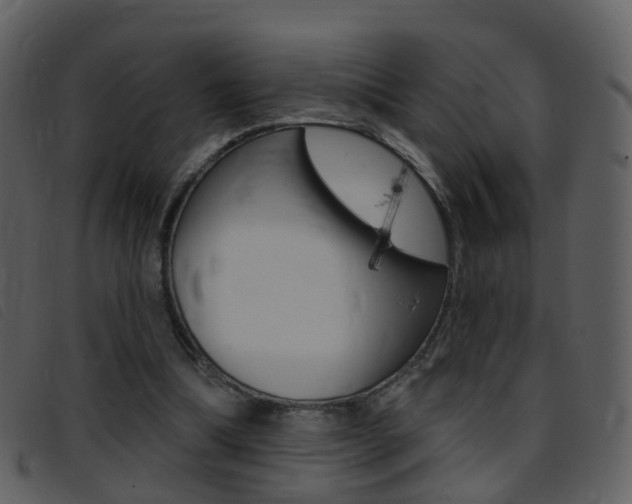 X0000096660298200802051003