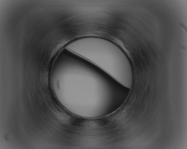 X0000096660299200802051002