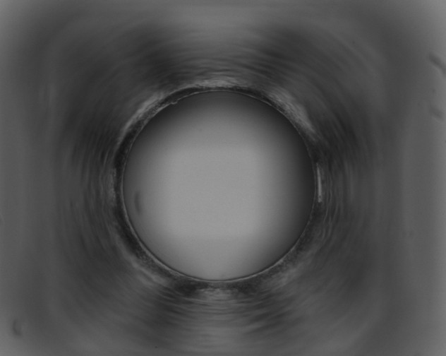 X0000096660300200802051002