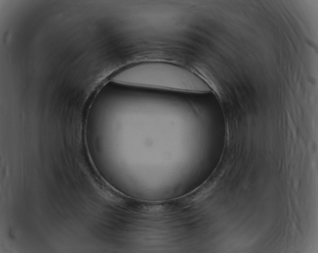 X0000096660301200802051002
