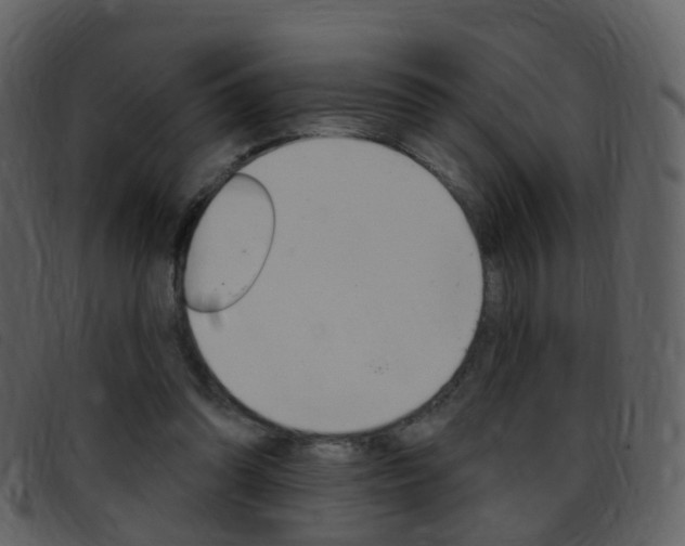 X0000096660302200802051002