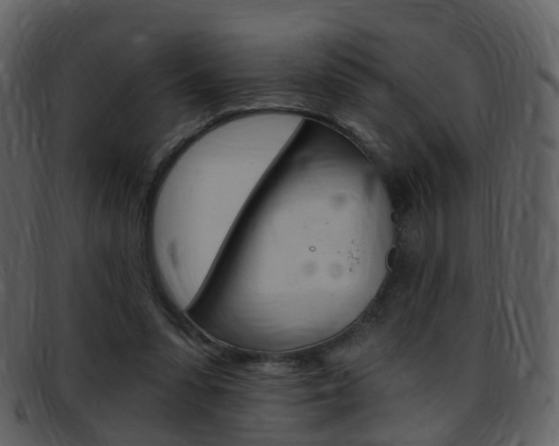 X0000096660303200802051002
