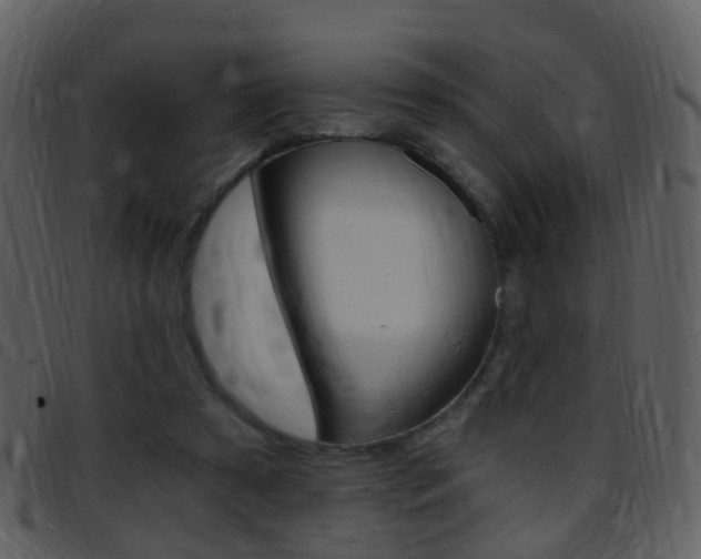 X0000096660305200802051002