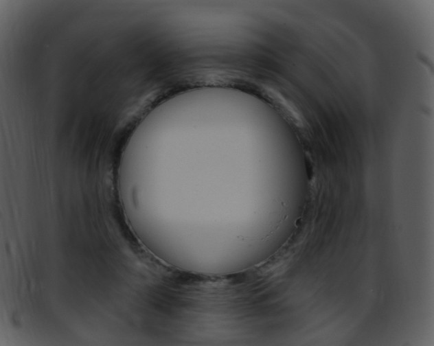 X0000096660306200802051002