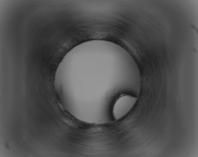 X0000096660307200802051002