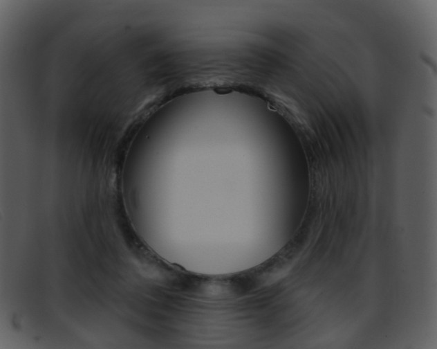 X0000096660308200802051002