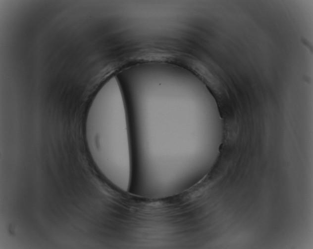 X0000096660309200802051002