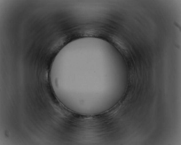 X0000096660310200802051002