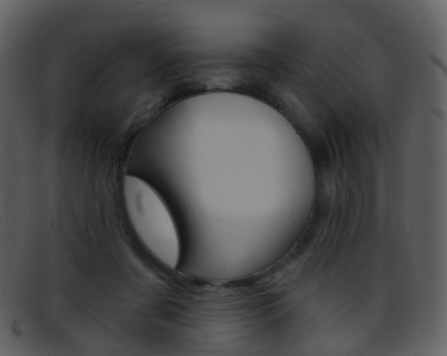 X0000096660311200802051002