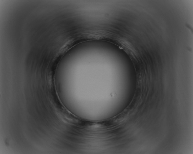 X0000096660312200802051002