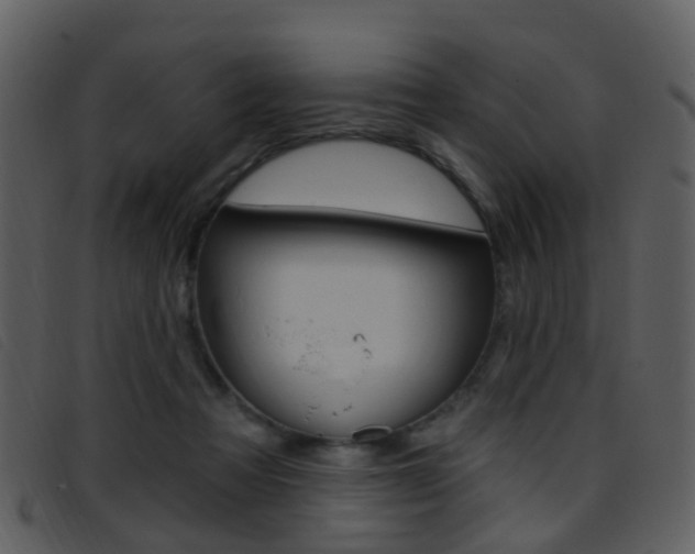 X0000096660313200802051002