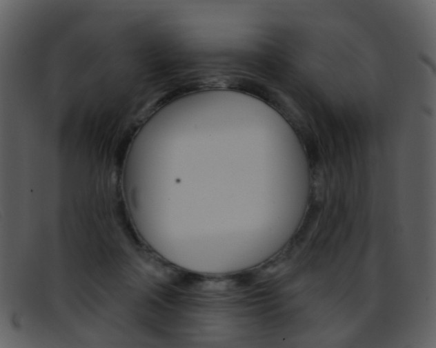 X0000096660314200802051002