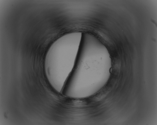 X0000096660315200802051002