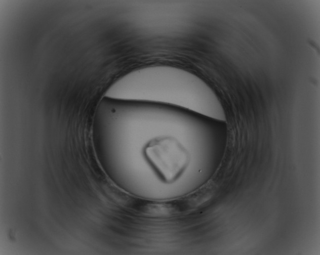 X0000096660316200802051002