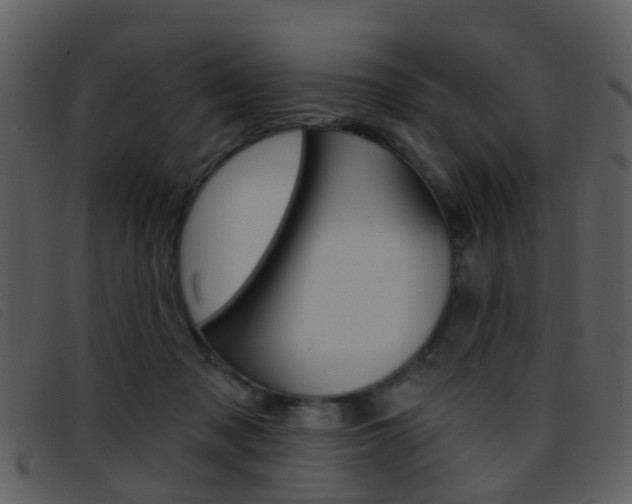 X0000096660317200802051002