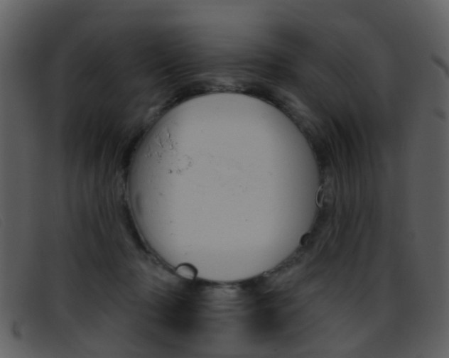 X0000096660318200802051002