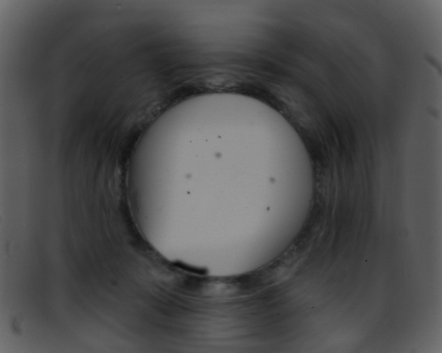 X0000096660319200802051002
