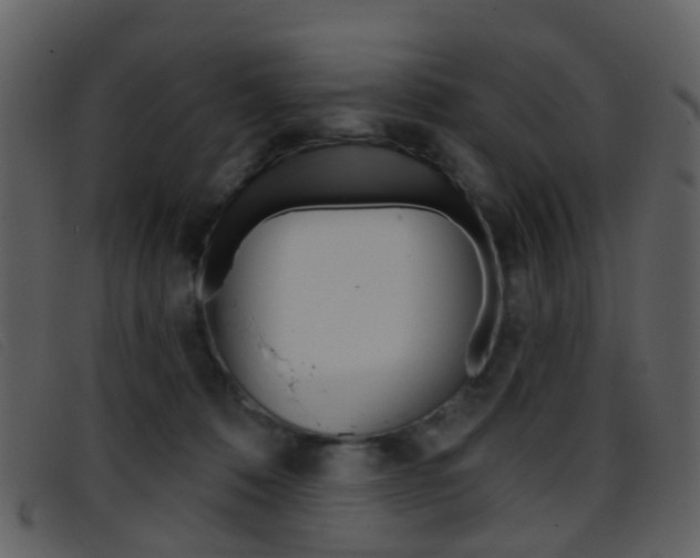 X0000096660320200802051002