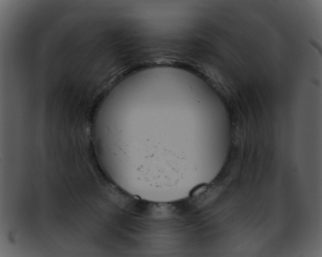 X0000096660321200802051002