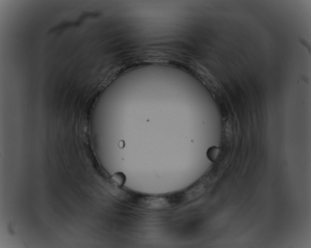 X0000096660322200802051002