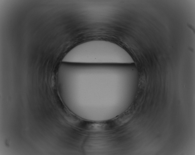 X0000096660323200802051002