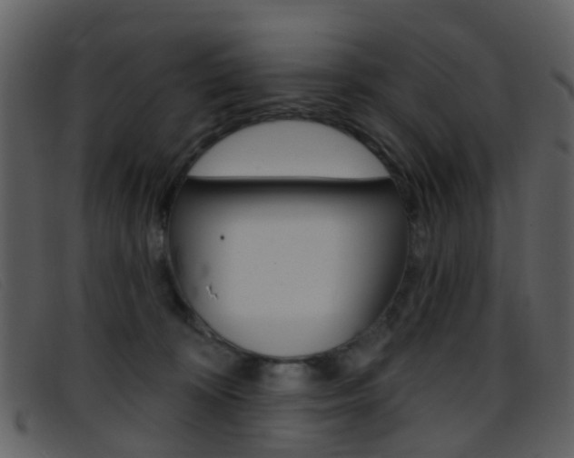 X0000096660324200802051002