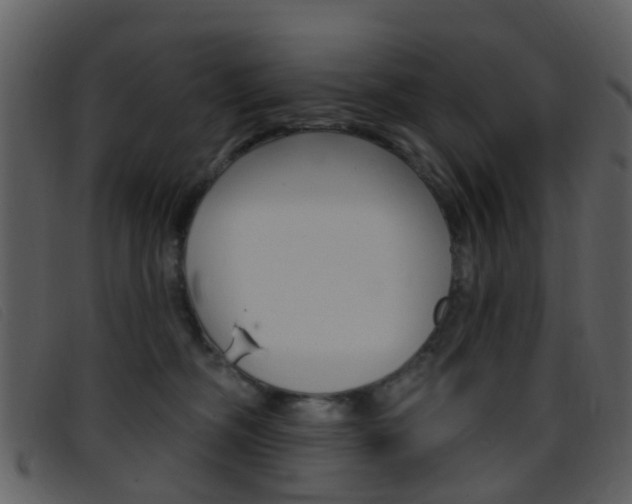 X0000096660326200802051002