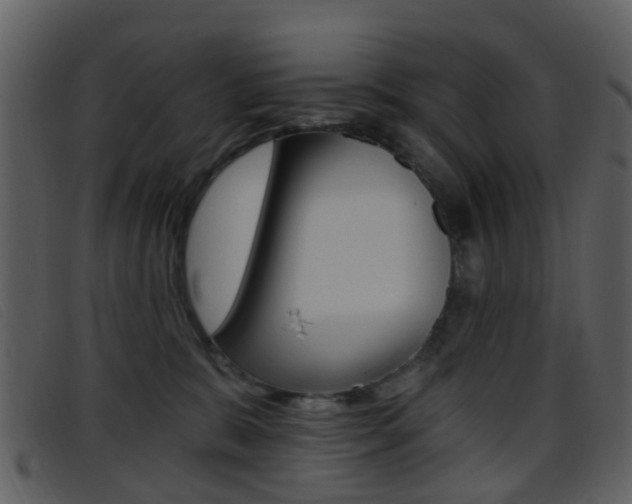 X0000096660327200802051002