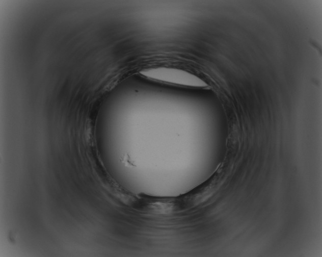 X0000096660328200802051002