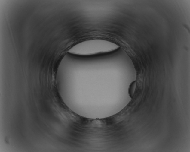 X0000096660330200802051002