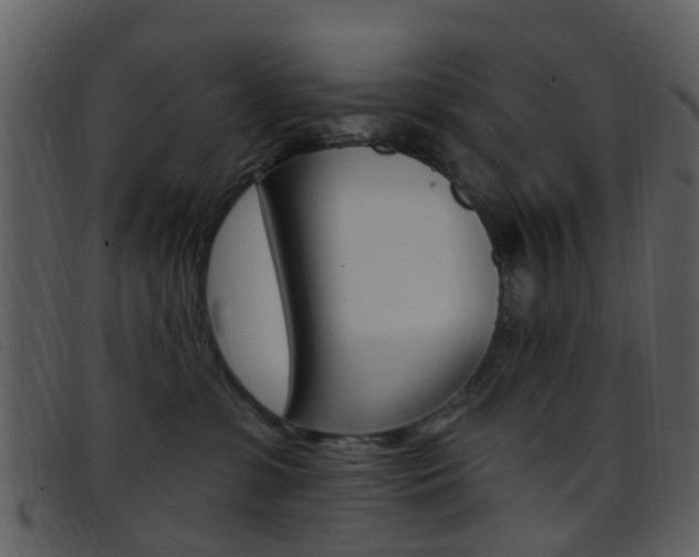X0000096660331200802051002