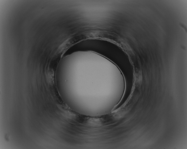 X0000096660332200802051002