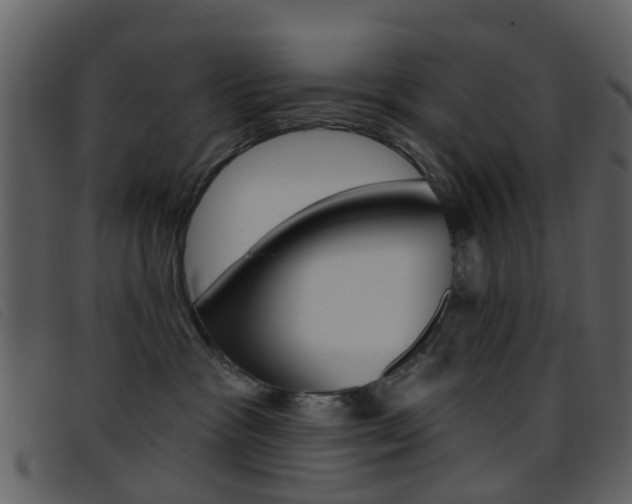 X0000096660333200802051002