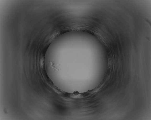 X0000096660334200802051002