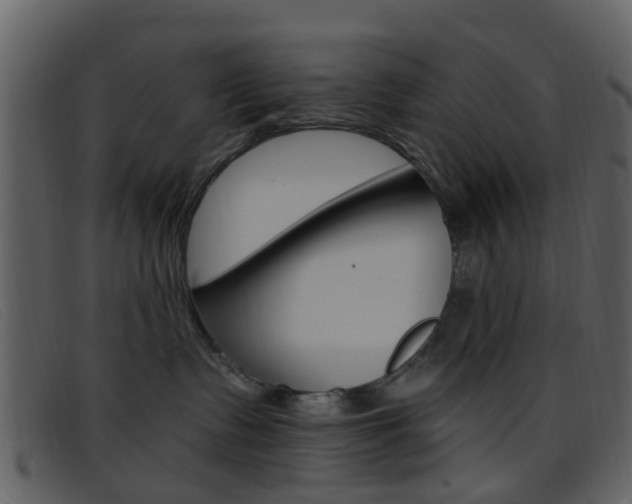 X0000096660335200802051002