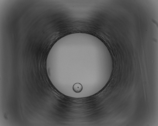 X0000096660336200802051002