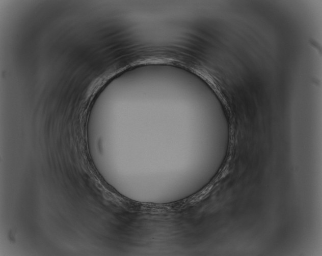 X0000096660337200802051001