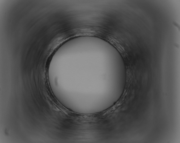 X0000096660338200802051001