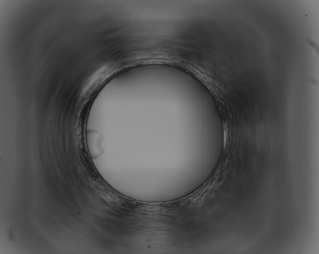 X0000096660339200802051001
